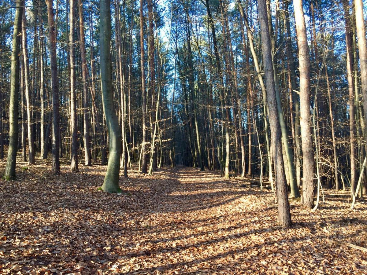 Waldfruehstueckspension Familie Toth Oberschutzen Exterior photo