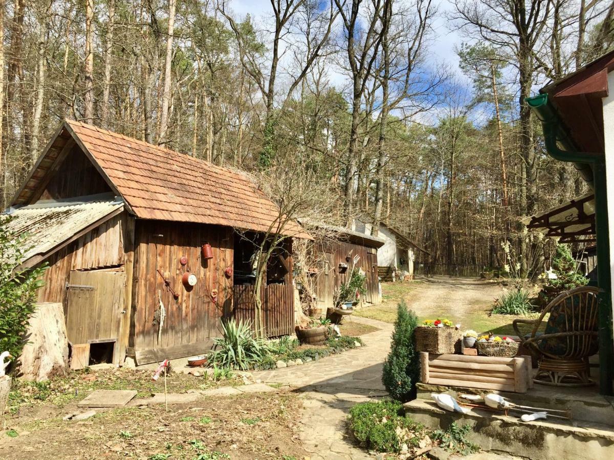 Waldfruehstueckspension Familie Toth Oberschutzen Exterior photo